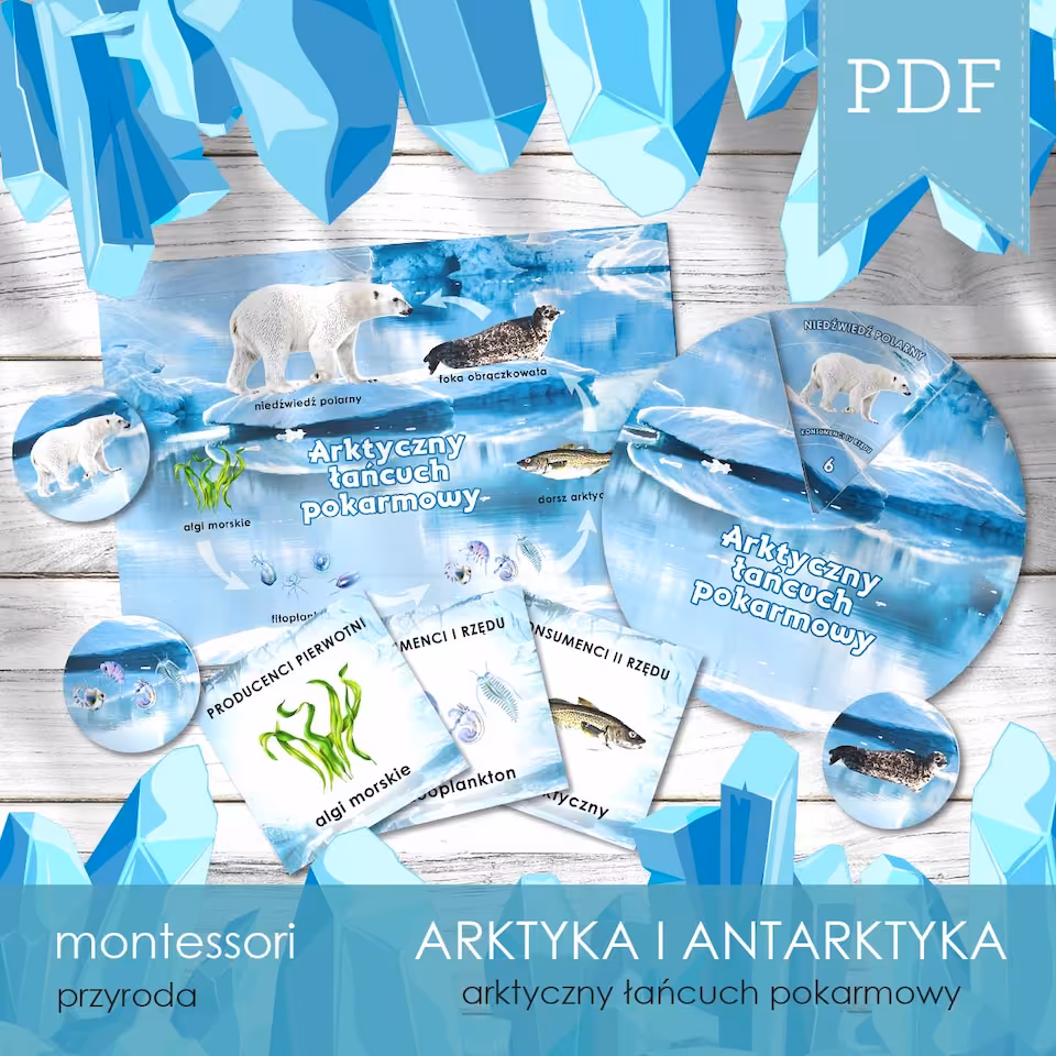 Arktyka i Antarktyka - Łańcuch pokarmowy