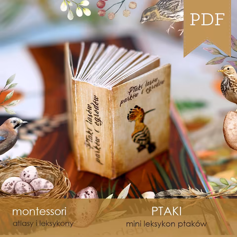 Ptaki - Mini leksykon ptaków