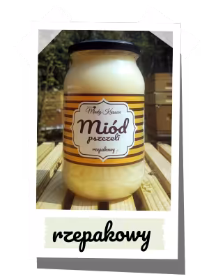 Miód rzepakowy