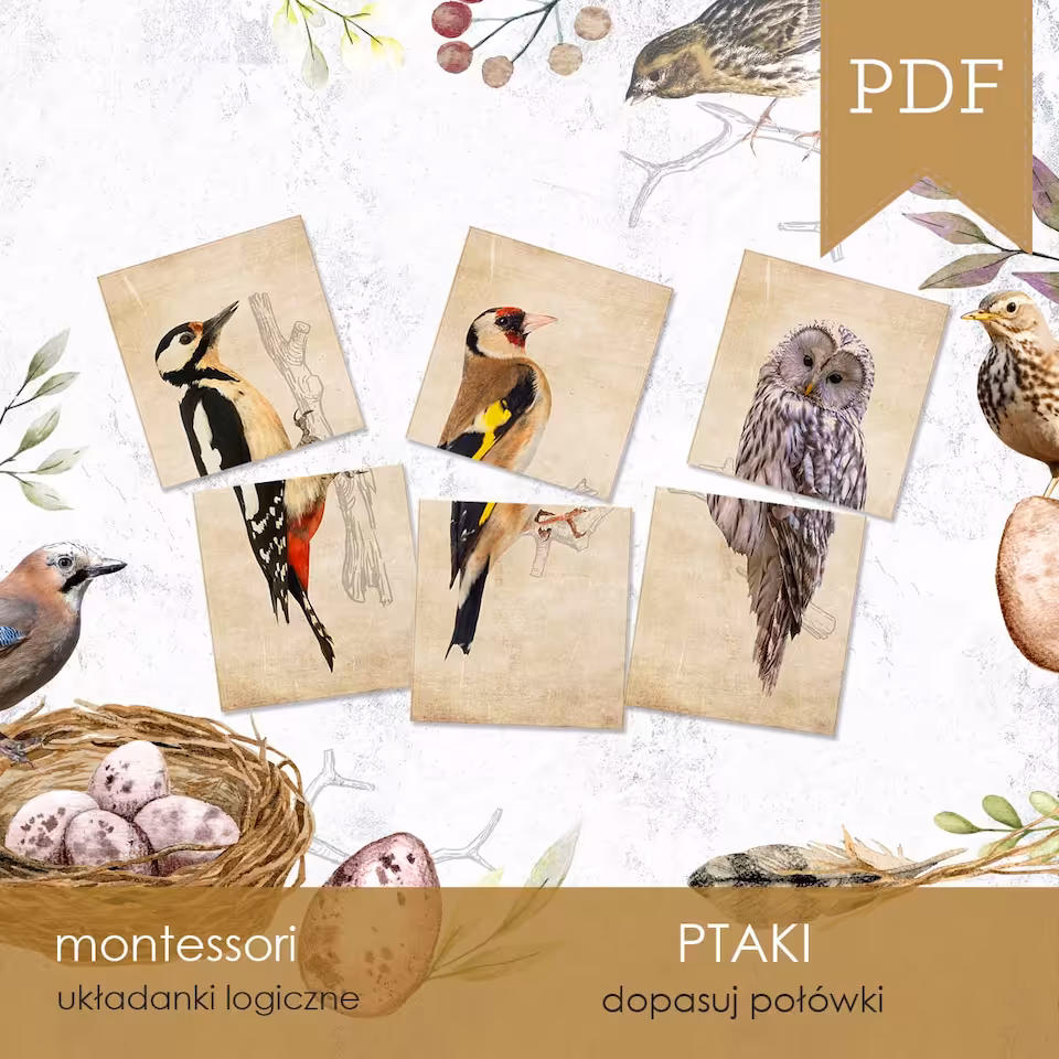 Ptaki - Dopasuj połówki