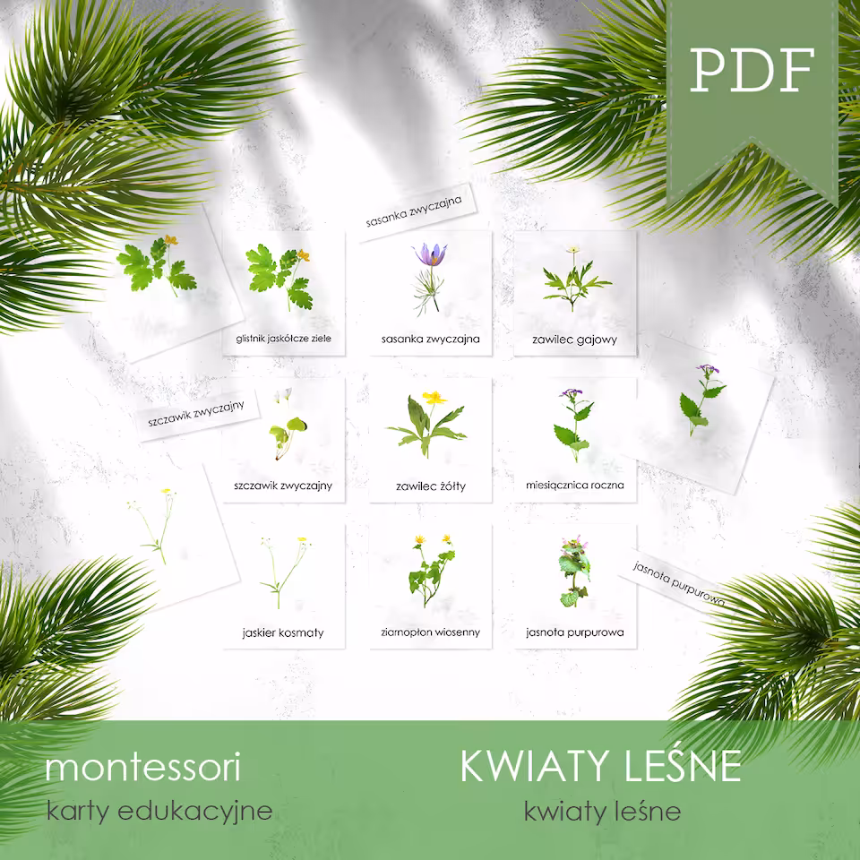 Las - Kwiaty leśne - Karty trójdzielne