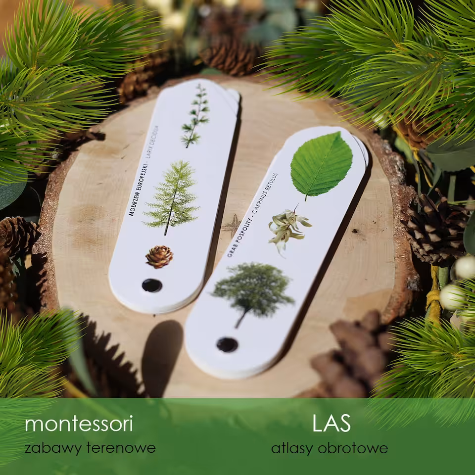 Las - Zestaw 2 atlasów - Drzewa