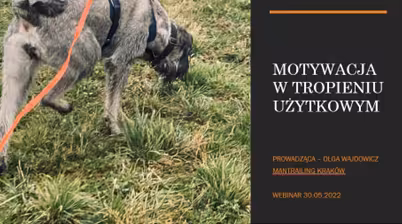 Motywacja w tropieniu użytkowym (nagranie webinaru)