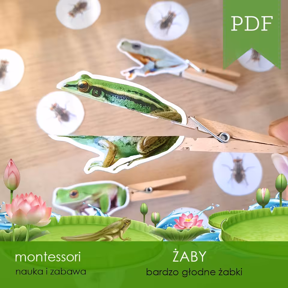 Żaby - Bardzo głodne żabki