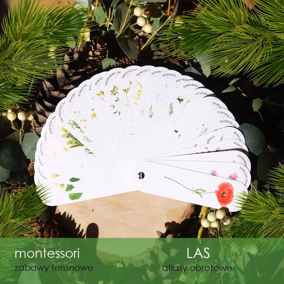 Las - Atlas kwiatów polnych