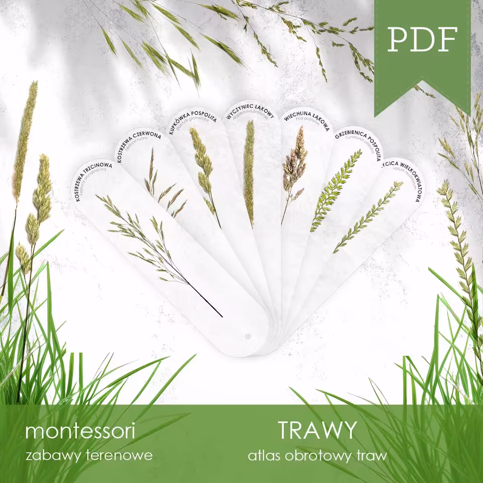 Trawy - Atlas obrotowy