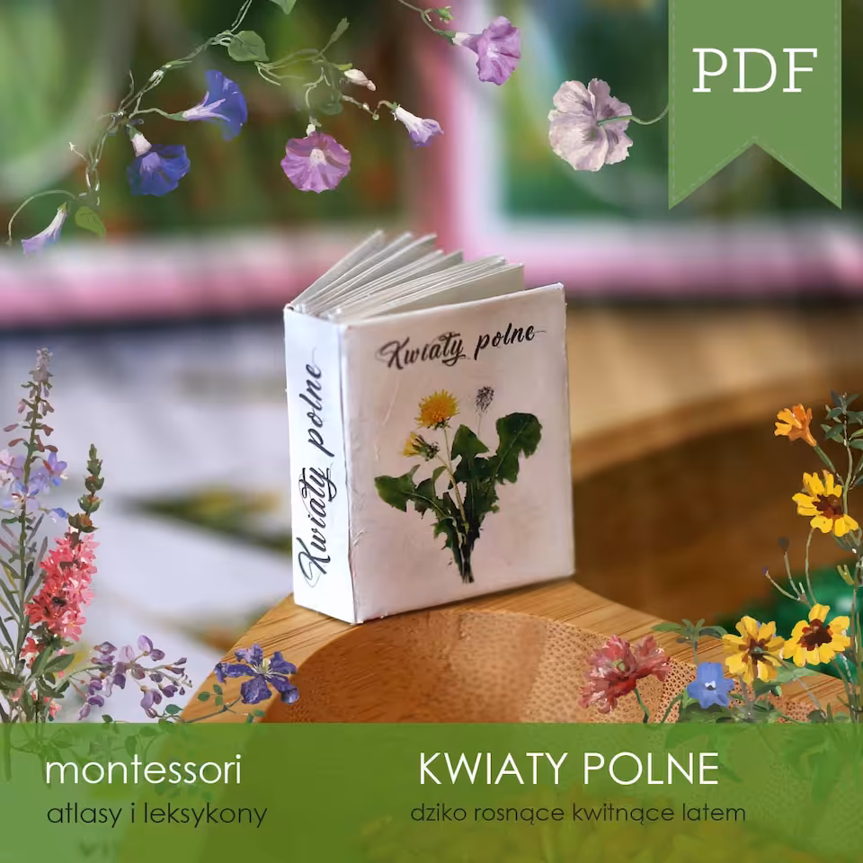 Kwiaty polne - Mini atlas