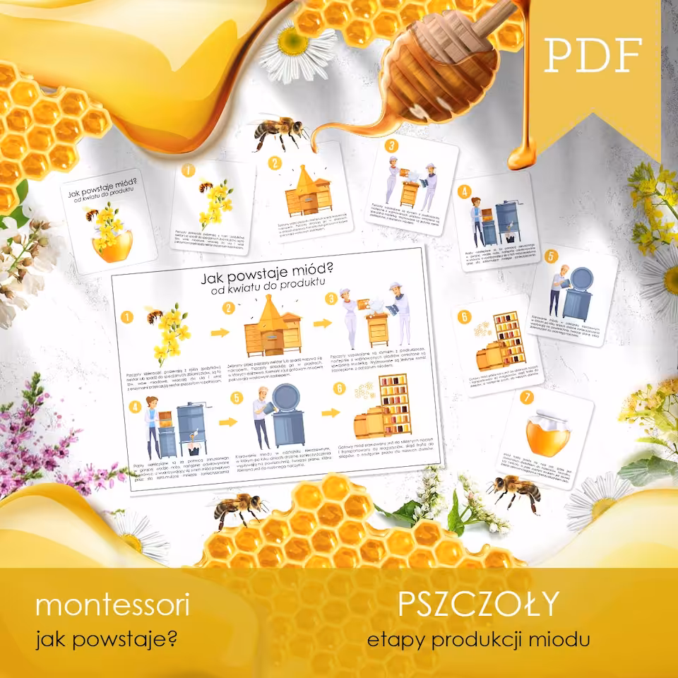 Pszczoły - Jak powstaje miód