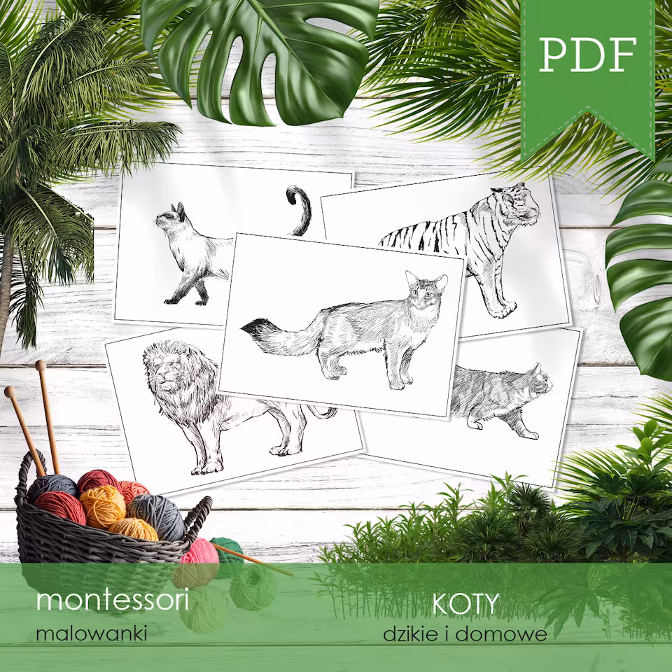 Koty - Malowanki