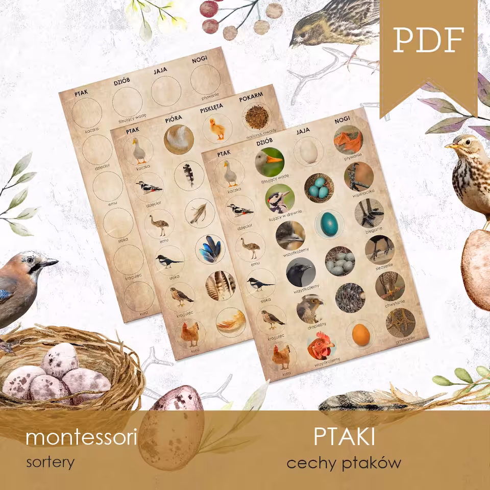 Ptaki - Sorter cech ptaków