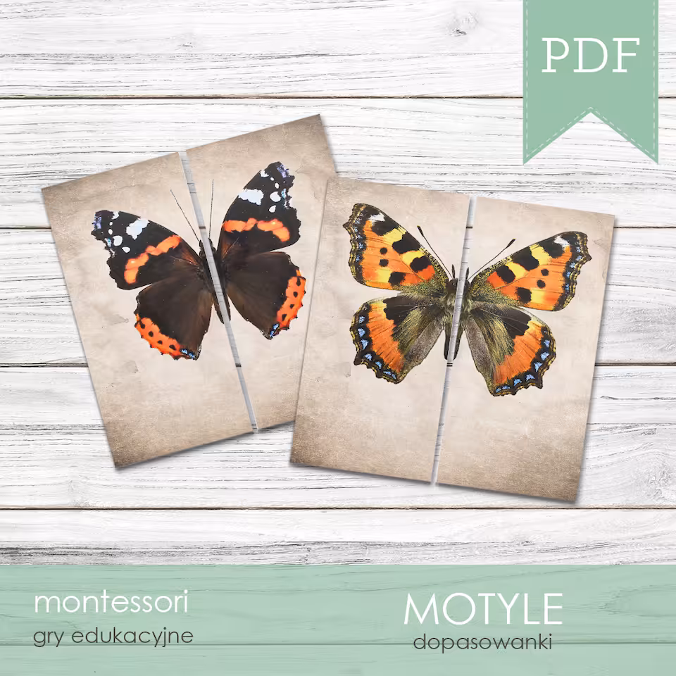 Motyle - Dopasowanki karty