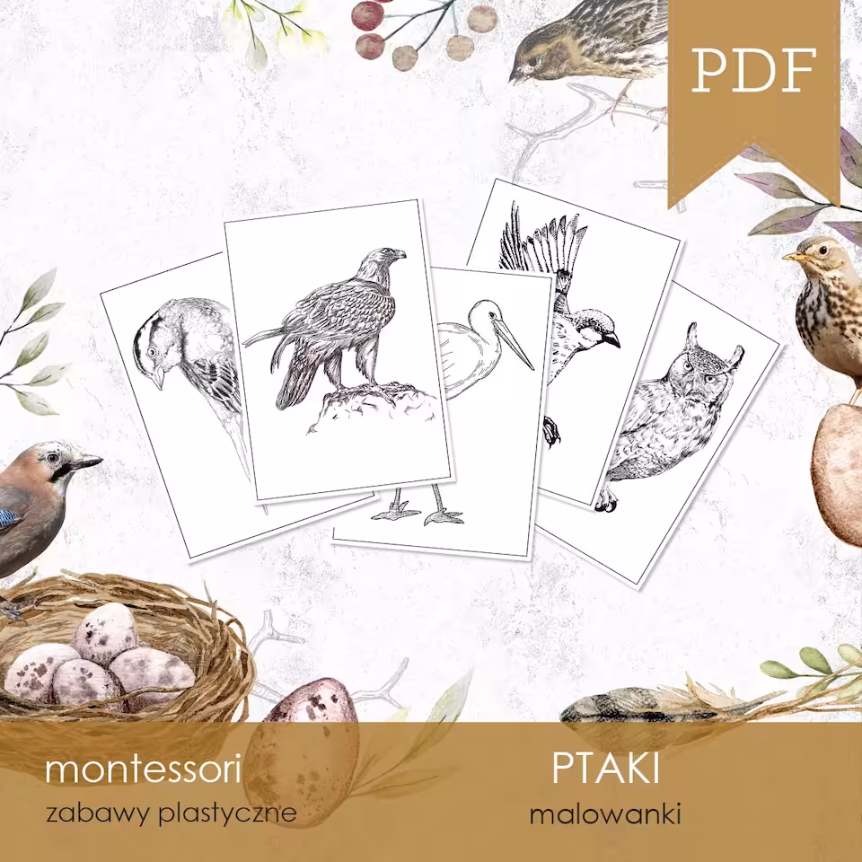 Ptaki - Malowanki