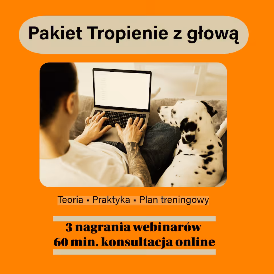 Pakiet Tropienie z głową – 3 webinary + konsultacja online