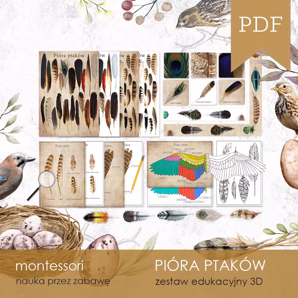 Ptaki - Pióra - Zestaw edukacyjny 3D