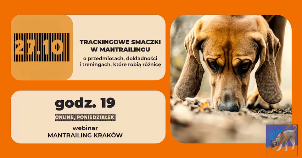 Trackingowe smaczki w mantrailingu (nagranie webinaru)