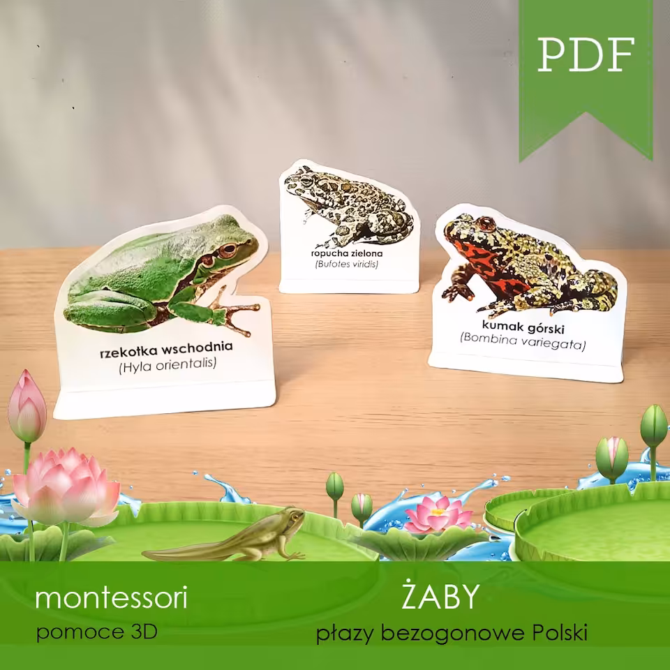 Żaby - Figurki żab 3D