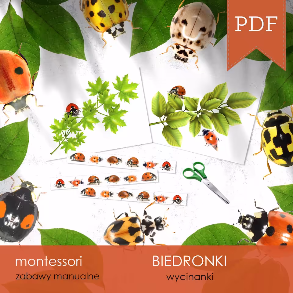 Biedronki - Wycinanki