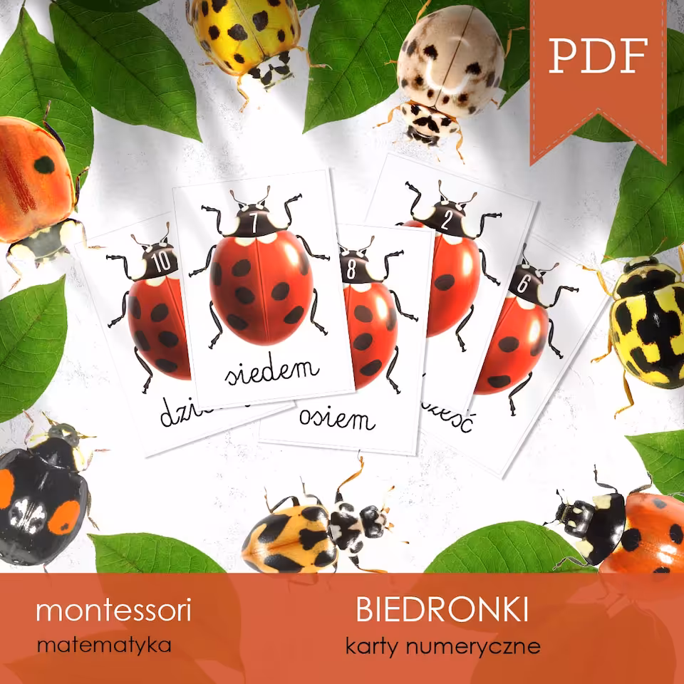 Biedronki - Karty numeryczne