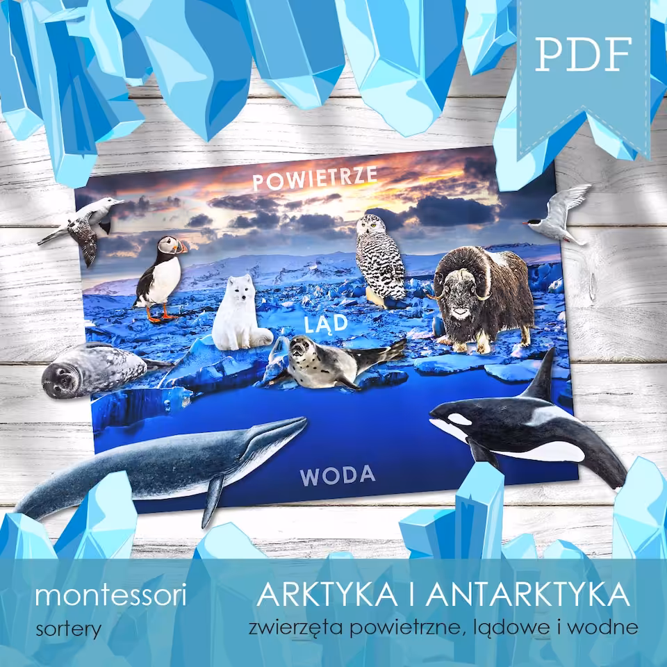 Arktyka i Antarktyka - Sorter środowisk