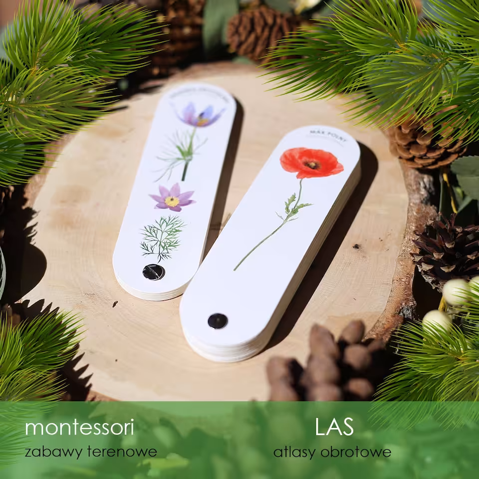 Las - Zestaw 2 atlasów - Kwiaty