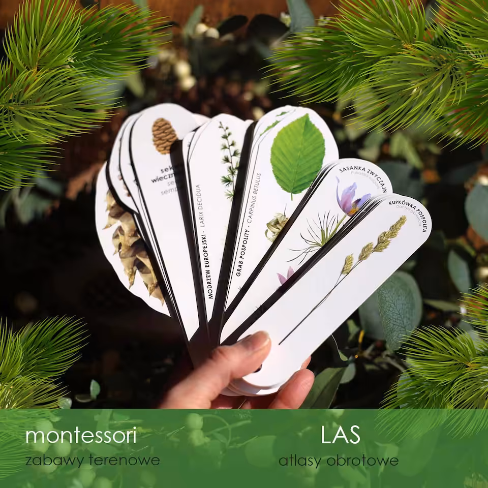 Las - Zestaw 5 leśnych atlasów obrotowych