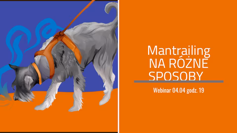 Mantrailing na różne sposoby (nagranie webinaru)