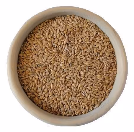 Bio Samopsza ekologiczna (5 kg)