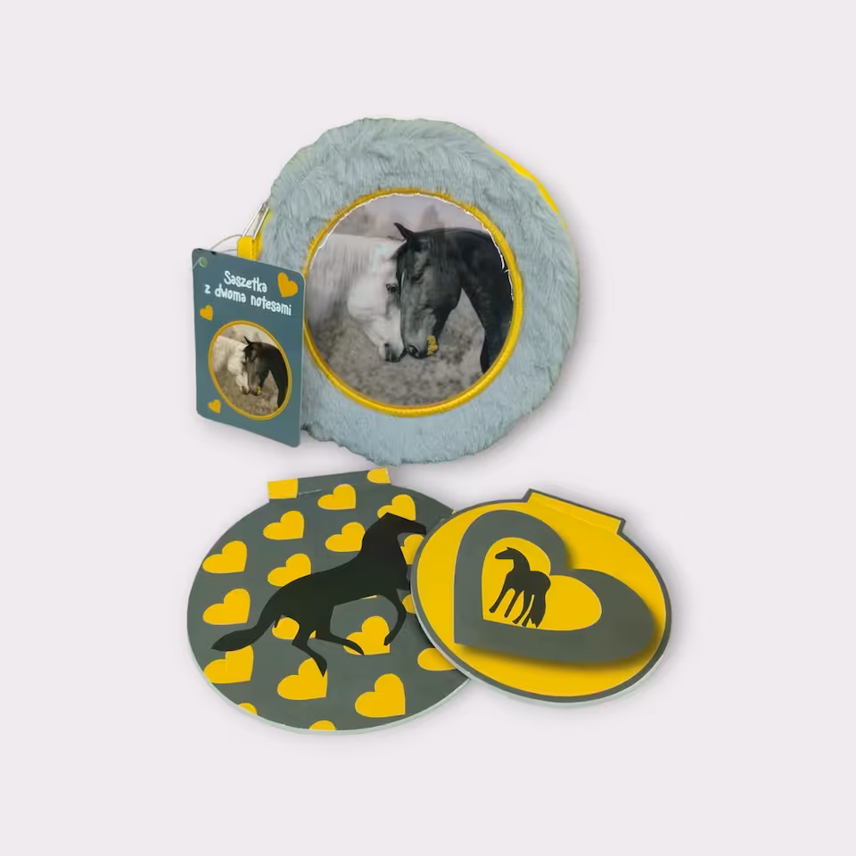 Saszetka z dwoma notesami