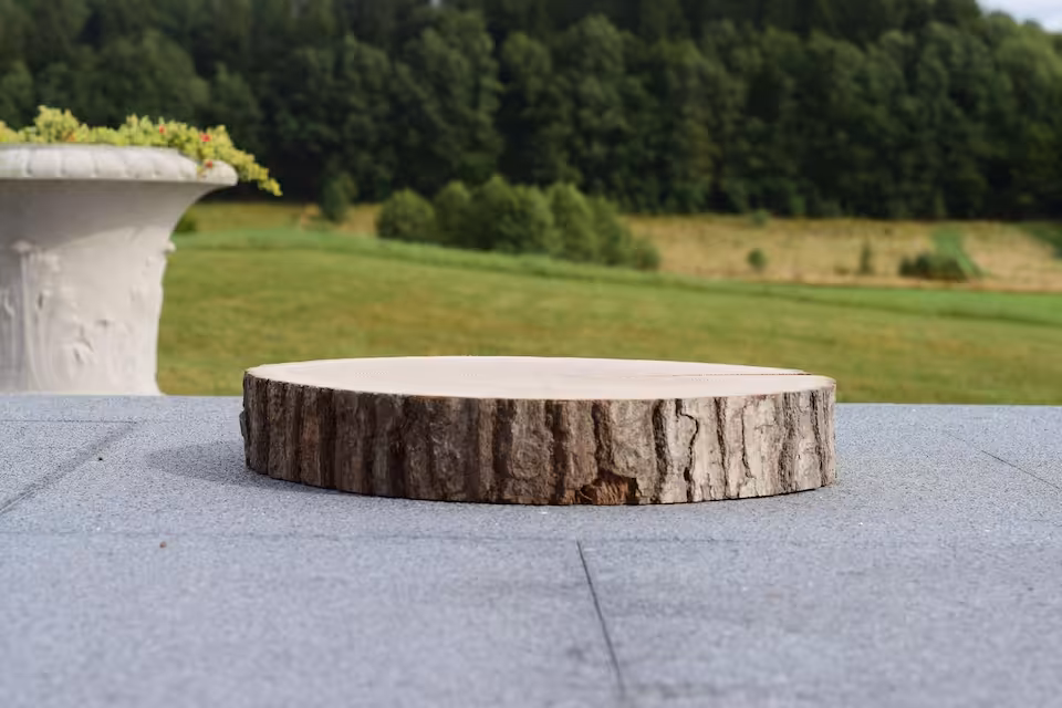 Plastry dębowe szlifowane z korą 30 - 35 cm