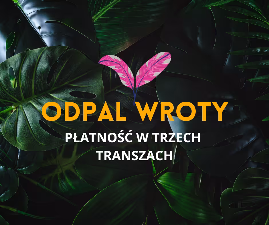 ODPAL WROTY - MENTORING 3 TRANSZE