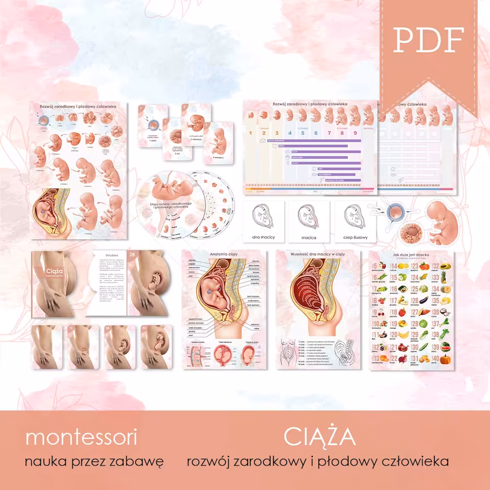 CIĄŻA - Zestaw edukacyjny 3D