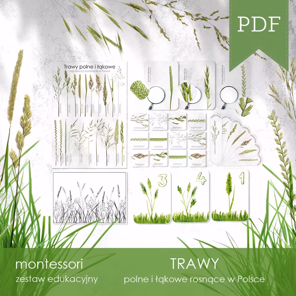 Trawy - Zestaw edukacyjny