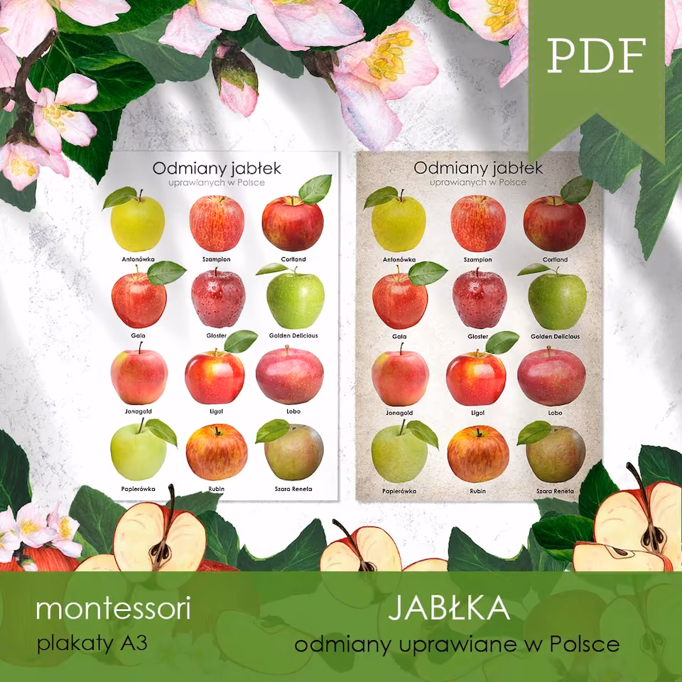 Jabłka - Plakat z odmianami polskich jabłek