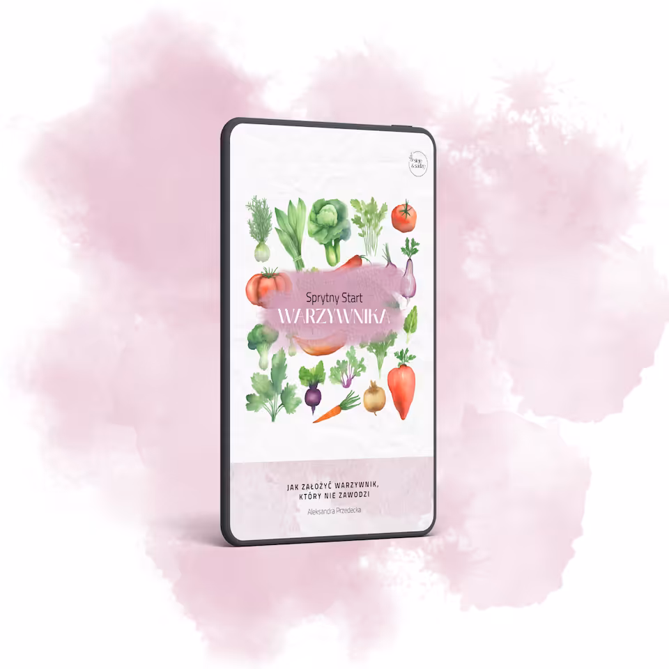 Sprytny Start Warzywnika