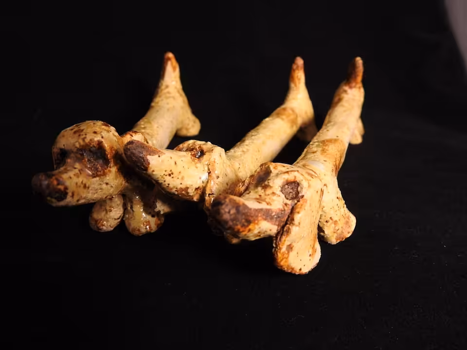 Komplet  ceramicznych koziołków do sztućców w kształcie jamników (6 sztuk, "used" look) wymiary nadłuższego: 14 cm