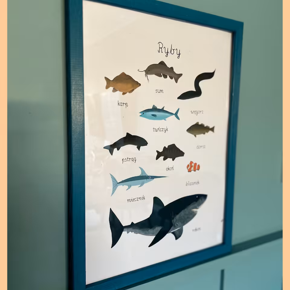 Ryby - plakat PDF