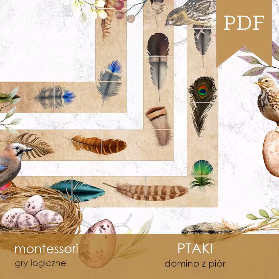 Ptaki - Pióra - Domino