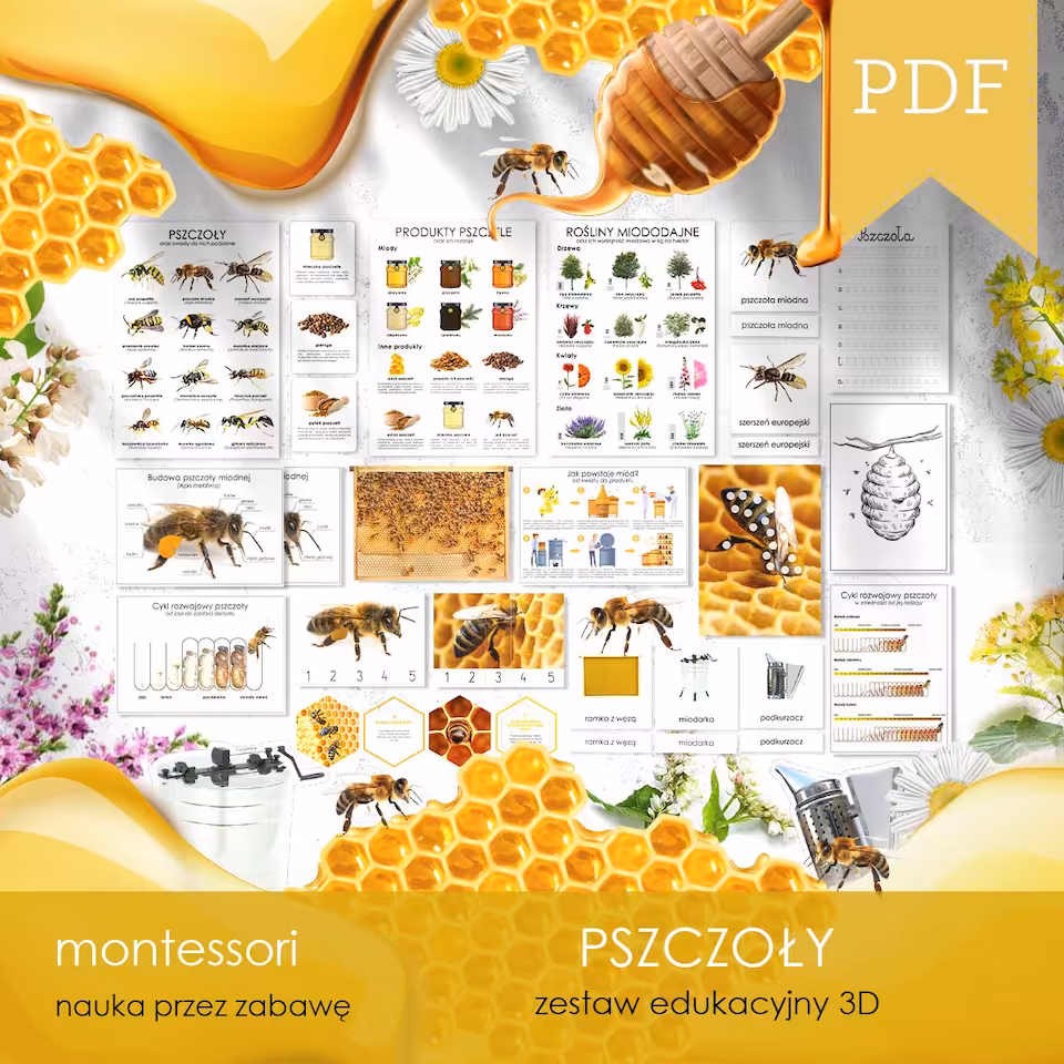 Pszczoły - Zestaw edukacyjny 3D