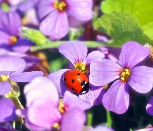 KURS KREATYWNEGO PISANIA: „PISANIE ZMYSŁOWE"