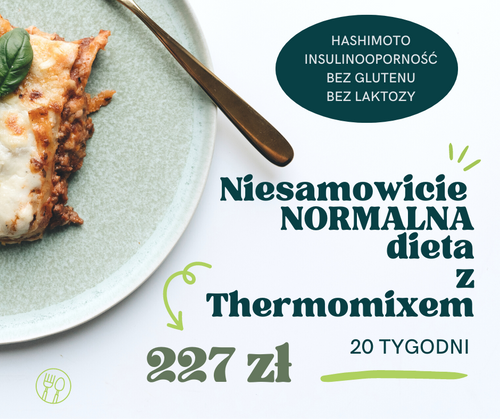20 T - HASHI IO - BEZ GLUTENOWA BEZLAKTOZOWA Niesamowicie Normalna Dieta pod Thermomix