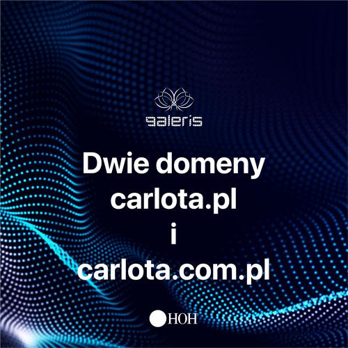 Dwie domeny: CARLOTA.PL i CARLOTA.COM.PL