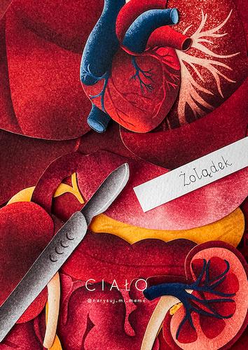 Ebook "Ciało" - Narysuj Mi Mamo