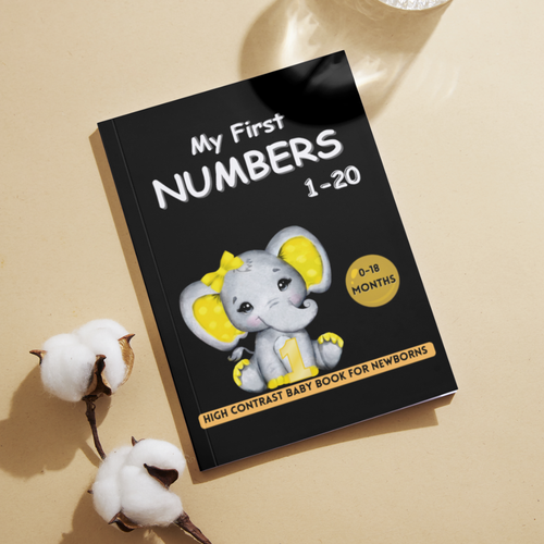 My First Numbers 1-20