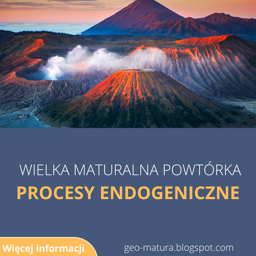 WEBINAR PROCESY ENDOGENICZNE - WIELKA MATURALNA POWTÓRKA