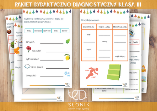 Sklep Slonika / Pakiet dydaktyczno-diagnostyczny. Klasa 3.