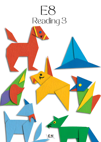 E8 Reading 3