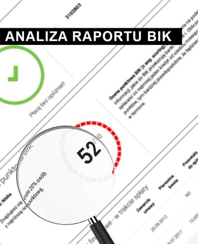 Analiza Raportu BIK