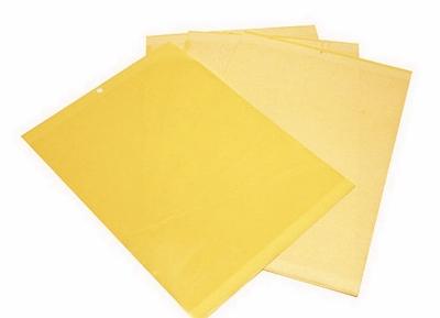 Tablice żółte lepowe 24x17 cm (obustronnie lepne)10 szt.
