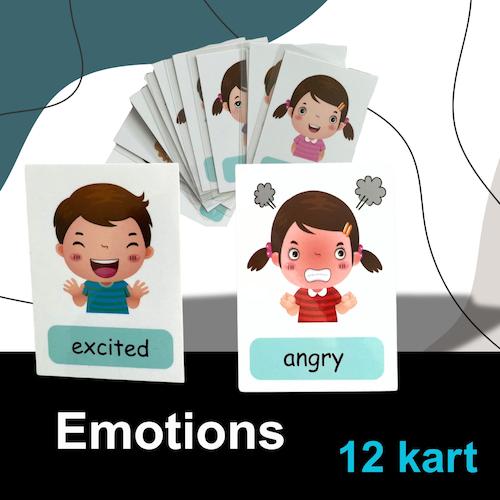 Flashcards Emotions 12 słów 12 kart