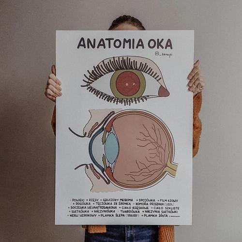 Plakat "Anatomia Oka" (B2)